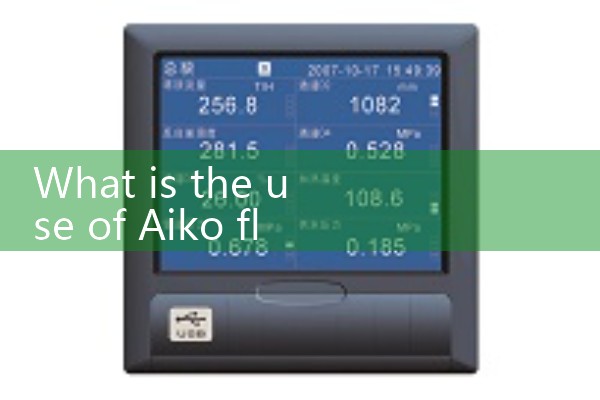 Aiko flowmeter